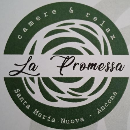Villa La Promessa à Santa Maria Nuova  Extérieur photo