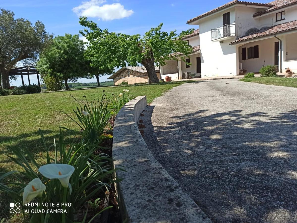 Villa La Promessa à Santa Maria Nuova  Extérieur photo